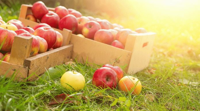 6 Beneficios de la manzana que tienes que conocer