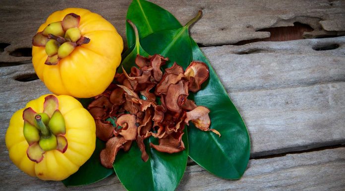Garcinia Cambogia Plus, ¿conoces todos sus beneficios? Garcinia Cambogia Plus, ¿conoces todos sus beneficios?