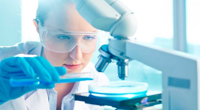 La enfermedad de Morgellons | Uno de los grandes misterios médicos enfermedad de los Morgellons 1