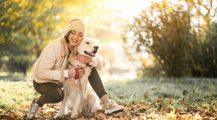 Beneficios de vivir con un animal ¿Los conoces? Beneficios mascota 1