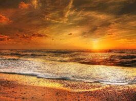 Consejos para ir a Ixtapa y que sea una experiencia inolvidable Consejos Ixtapa