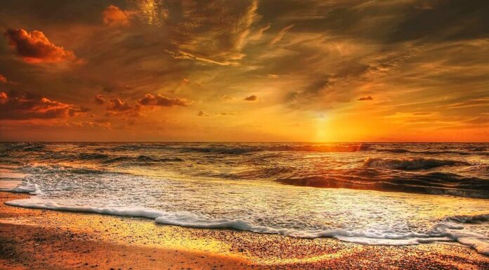 Consejos para ir a Ixtapa y que sea una experiencia inolvidable Consejos Ixtapa