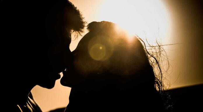 Los 5 fundamentos de la atracción. ¡Descúbrelos! Los 5 fundamentos de la atracción. ¡Descúbrelos!