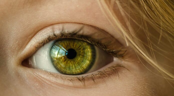 Todo lo que debes saber acerca de las lentillas Todo lo que debes saber acerca de las lentillas