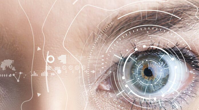 ¿Cómo es el ojo humano? Los secretos que debes conocer Cómo es el ojo humano. Los secretos que debes conocer