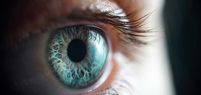 Cómo es el ojo humano. Los secretos que debes conocer. 2
