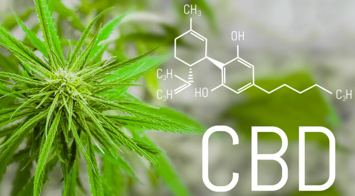 El CBD presente en el aceite de cannabis garantiza calidad de vida El CBD presente en el aceite de cannabis garantiza calidad de vida