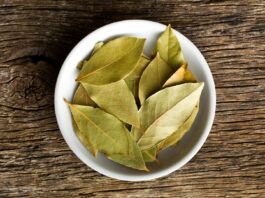 Beneficios del Laurel | La planta curativa de los dioses Beneficios del laurel