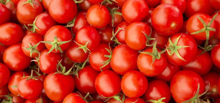 Beneficios del tomate- Contraindicaciones del tomate
