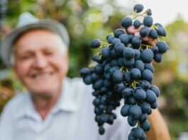 10 Beneficios de comer uvas | El saludable fruto de la vida beneficios de comer uvas