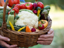 Beneficios de una alimentación ecológica y saludable Beneficios de una alimentación ecológica y saludable.