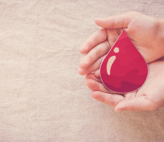 La enfermedad de la sangre de los reyes | ¿Qué sabemos de la hemofilia? hemofilia enfermedad reyes