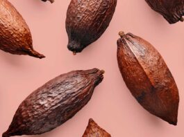 10 Beneficios del cacao puro | Un superalimento beneficios del cacao puro