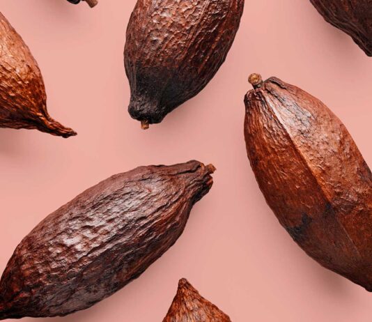 10 Beneficios del cacao puro | Un superalimento beneficios del cacao puro