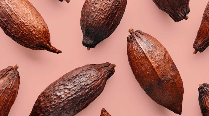 10 Beneficios del cacao puro | Un superalimento beneficios del cacao puro