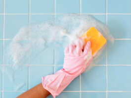 Aditivos Antibacterianos: usos y beneficios Aditivos Antibacterianos