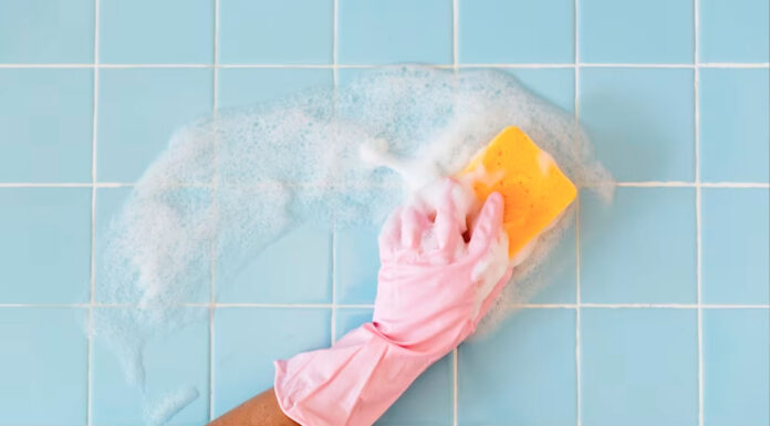 Aditivos Antibacterianos: usos y beneficios Aditivos Antibacterianos