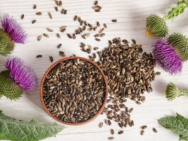 ¿Por qué tomar suplementos de cardo mariano? cardo mariano