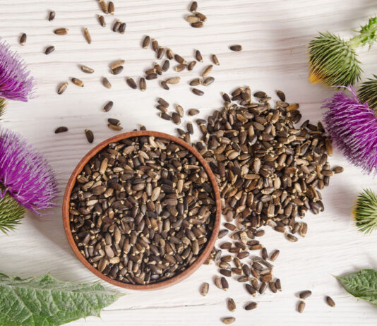 ¿Por qué tomar suplementos de cardo mariano? cardo mariano