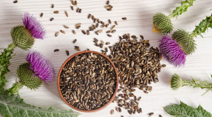 ¿Por qué tomar suplementos de cardo mariano? cardo mariano