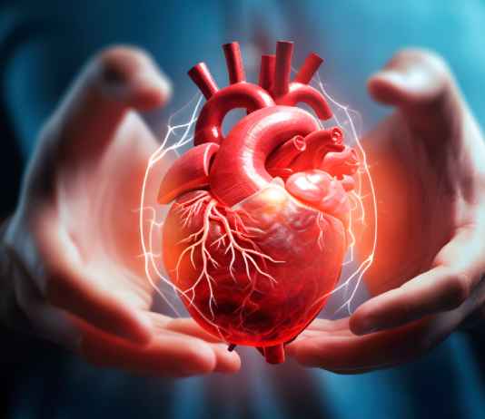 5 Recomendaciones para prevenir enfermedades cardiovasculares recomendaciones para prevenir enfermedades cardiovasculares