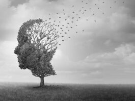 ¿Qué es y qué causa la Enfermedad del Alzheimer? enfermedad alzheimer