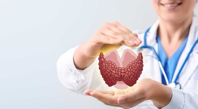 ¿Cómo bajar de peso con hipotiroidismo o tiroide hipoactiva? bajar de peso con hipotiroidismo