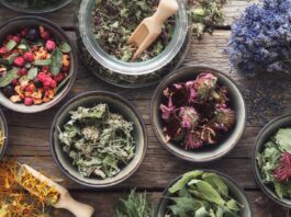 Las 6 mejores plantas medicinales | Medicina natural Las mejores plantas medicinales