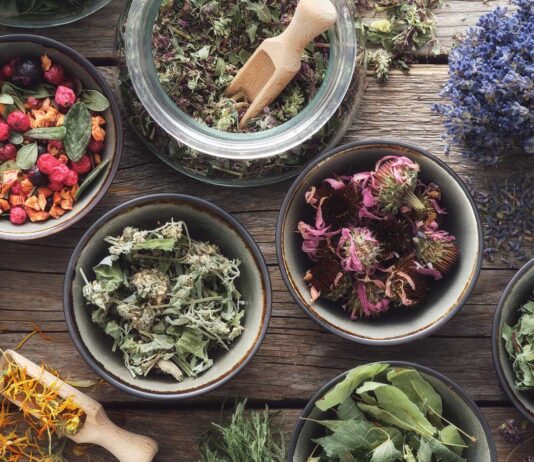 Las 6 mejores plantas medicinales | Medicina natural Las mejores plantas medicinales