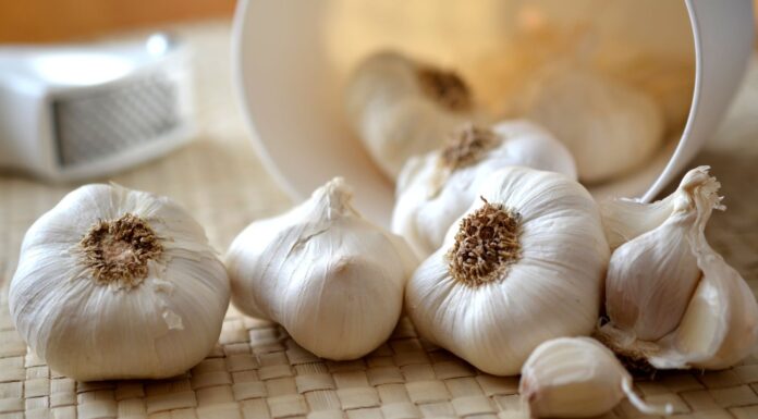 Para qué sirve el ajo | Propiedades y beneficios Para qué sirve el ajo