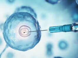 Mejorar la fertilidad a través de la microbiota vaginal Mejorar la fertilidad a través de la microbiota vaginal