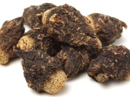 Propiedades de la maca negra | Energía, resistencia y vitalidad Propiedades de la maca negra