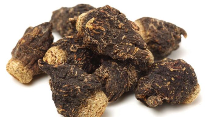 Propiedades de la maca negra | Energía, resistencia y vitalidad Propiedades de la maca negra