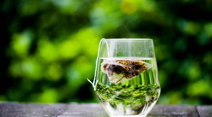 ¿Qué es la grasa parda y qué alimentos la activan? Qué es la grasa parda