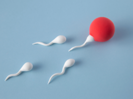 ¿Qué es la inseminación artificial? | Datos clave Inseminación Artificial