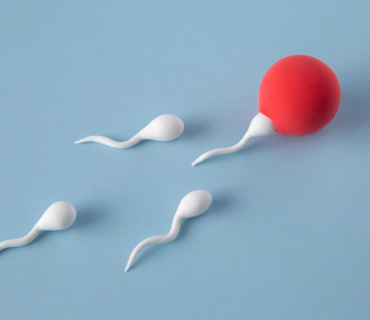 ¿Qué es la inseminación artificial? | Datos clave Inseminación Artificial