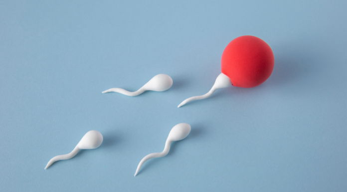 ¿Qué es la inseminación artificial? | Datos clave Inseminación Artificial