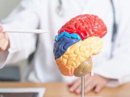 Trastornos neurológicos más frecuentes | Aprende a distinguirlos Trastornos neurológicos más frecuentes