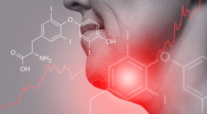 A qué se debe el desequilibrio hormonal | Conoce sus efectos A qué se debe el desequilibrio hormonal