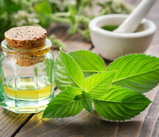 Propiedades de la menta | Desde salud digestiva hasta paz mental Propiedades de la menta