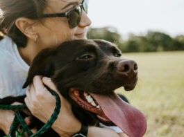 ¿Por qué tener mascota reduce el estrés? Te lo contamos por-que-tener-mascota-reduce-el-estres