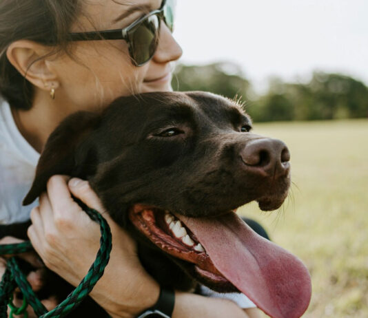 ¿Por qué tener mascota reduce el estrés? Te lo contamos por-que-tener-mascota-reduce-el-estres